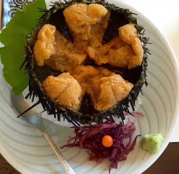 Uni Japanese Food Sea Urchin