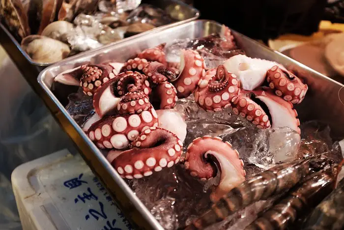 how-to-cook-octopus-in-japanese-style-easy-homemade-sushi