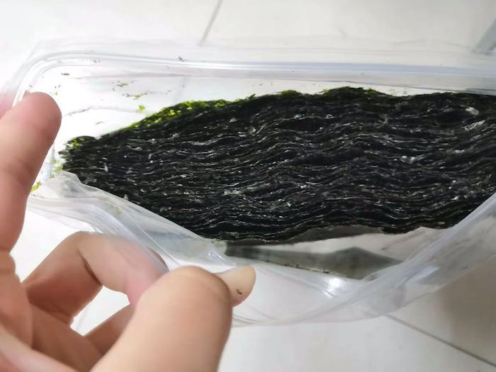 what kind of seaweed is used for sushi